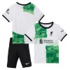 Officiële Voetbalshirt + Korte Broek Liverpool Uit 2023-24 - Kids